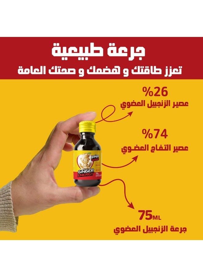 أورجانيك نوتراتيف سيلز زنجبيل إينرجي شوت - 75 مل - Image 3